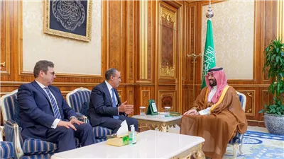 ولي العهد السعودى يتسلم رسالة خطية للملك سلمان من الرئيس السيسي