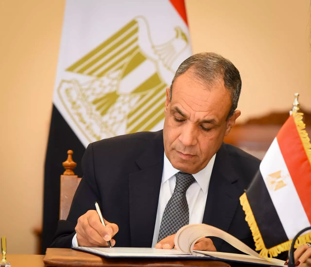 الدكتور بدر عبد العاطي وزير الخارجية