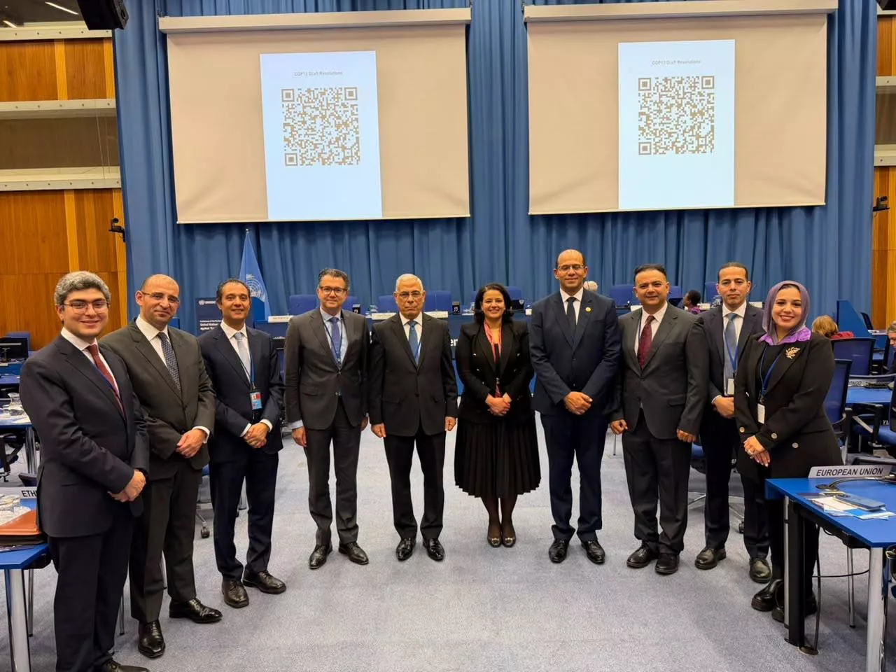 مصر تنجح في اعتماد قرار بالإجماع لمكافحة الاتجار غير المشروع بالممتلكات الثقافية
