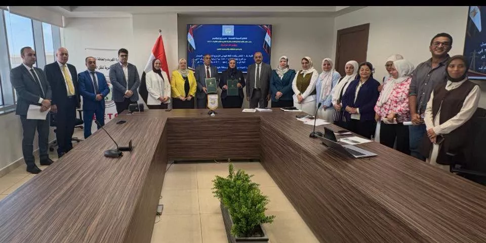 تعاون بين المصرية لنقل الكهرباء وشركة وادي النيل للمقاولات 