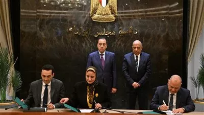 المصدر