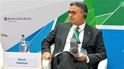 مصر تدرس تطوير مركز لوجستي للحبوب والزيوت لربط التجارة بالتخزين والتصنيع