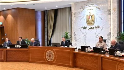 مجلس الوزراء يوافق على اشتراطات ومحددات «مبادرة شمس الصناعة»
