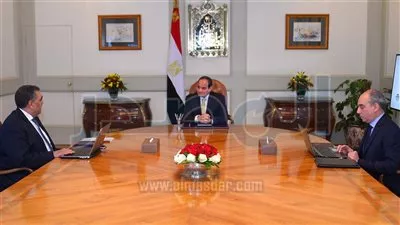 السيسي يوجه بمتابعة جهود إصلاح شركات قطاع الأعمال الخاسرة وتحويلها إلى رابحة