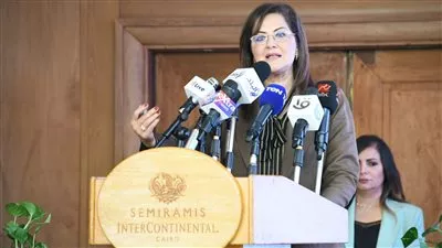 السعيد: 31.4 مليار دولار تحويلات المصريين بالخارج خلال 2020-2021