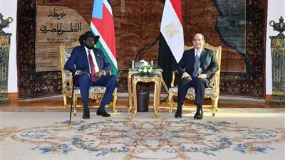 السيسي يؤكد استمرار مصر فى دعم ومؤازرة جنوب السودان