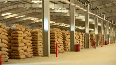 البنك الزراعي المصري يعلن جاهزيته لبدء موسم توريد القمح المحلي 2022