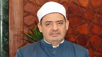 شيخ 