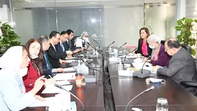 وزراء التخطيط والبيئة والمالية يبحثون آليات التحول للتعافي الأخضر