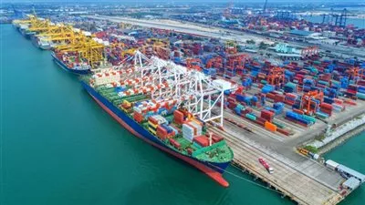 3.3 مليار جنيه ضرائب ورسوم بجمارك السخنة خلال مارس الماضى