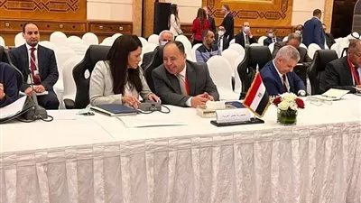 «معيط» يدعو لتبنى استراتيجية متكاملة للتحوط العربى ضد الصدمات الاقتصادية