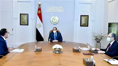 السيسى يوجه بالتوسع في خطط تعزيز دور الطاقة المتجددة 