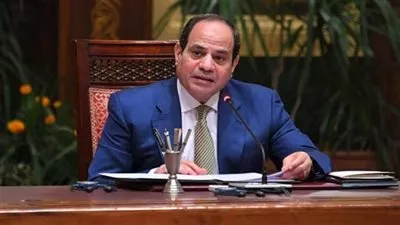 الرئيس السيسى يتسلم أوراق اعتماد 15 سفيراً جديداً