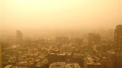 بالفيديو..