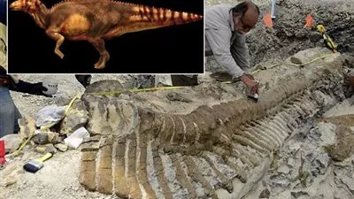 العثور على ديناصور يرجع إلى 90 مليون سنة في أوزبكستان