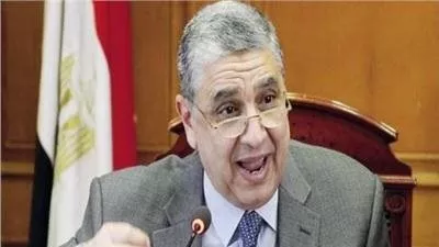 وزير الكهرباء يبحث مع ممثلى تحالف الوقود الأخضر فرص الاستثمار في الطاقة المتجددة