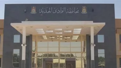 محافظة الوادي الجديد تطلق خدمة 