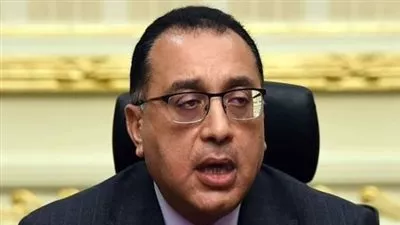 رئيس الوزراء يجري مباحثات مع مسئولي شركات فرنسية مهتمة بالاستثمار فى مصر