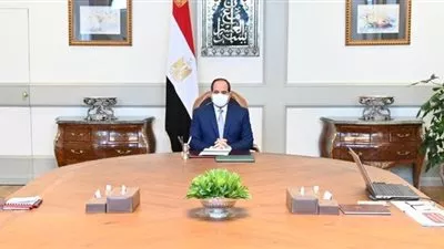 السيسى يوجه بالإسراع فى تحديث وتطوير قطاع النقل البحرى 