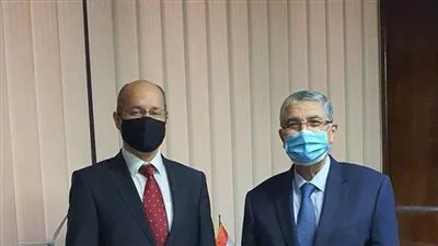 وزير الكهرباء يبحث مع سفير المجر تعزيز التعاون فى مجال الطاقة