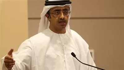 بالفيديو.. وزير الخارجية 