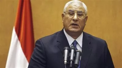رفض الدعوى المطالبة بعدم دستورية قانون إنشاء محاكم الأسرة 