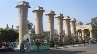 جامعة عين شمس: اعلان نتائج البكالوريوس والليسانس قبل أغسطس القادم