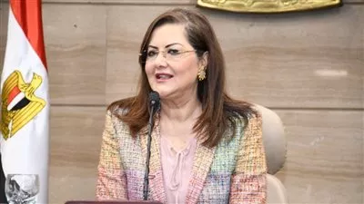 «النخطيط» تدرج «مركز الإبداع» بخطة «عين شمس» لعام 2020-2021