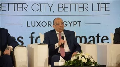شعراوي: 375 مليار جنيه لتحسين مستوى الخدمات في الصعيد