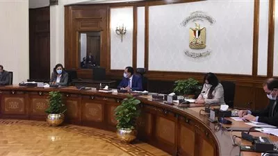 رئيس الوزراء يستعرض مقترحات جذب مزيد من الاستثمارات الأجنبية المباشرة