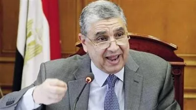 شاكر: 1.4 مليار جنيه لتطوير شبكات توزيع الكهرباء بالوادى الجديد