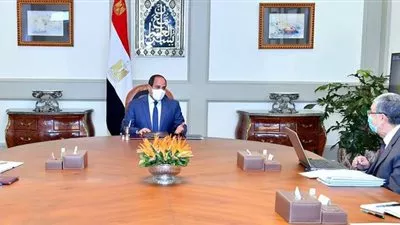 السيسى يوجه بتعزيز جهود تنفيذ مشروعات الربط الكهربائى مع دول الجوار
