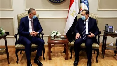 «هني ويل» تستهدف استثمار 200 مليون دولار بالبتروكيماويات والوقود الأخضر في مصر