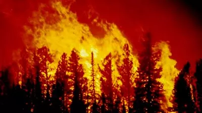 بالفيديو..26 حالة وفاة فى حريق بمنطقة 