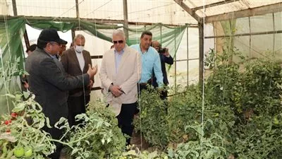«القصير» و «الهجان» يتفقدان صوب المشروع القومي لإنتاج التقاوي بمدينة قها 