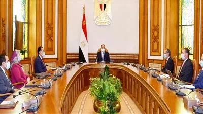 السيسى يوجه بالتطوير الالكترونى الشامل للهيئة القومية للتأمين الاجتماعى