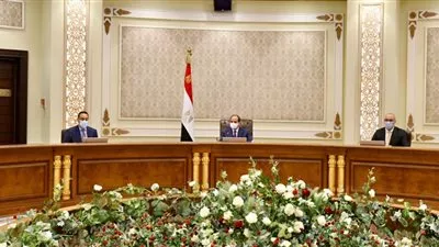 السيسى يوجه بتوفير الموارد المالية لإنشاء محطات معالجة مياه الصرف الزراعى