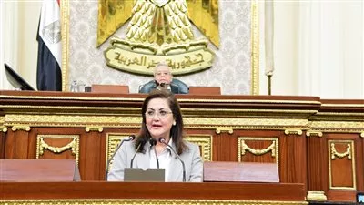 وزيرة التخطيط: نستهدف رفع نسب الاكتفاء الذاتي من القمح إلى 65% بحلول 2025