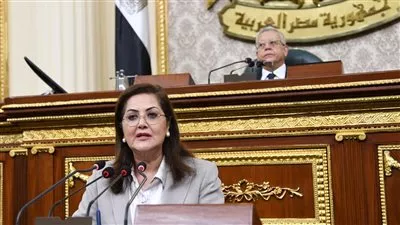 هالة السعيد: 601 مليار جنيه استثمارات قطاعي الإسكان والنقل في 2022-2023