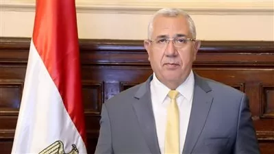 «الزراعة» تعلن فتح الأسواق الصينية أمام الرمان المصري