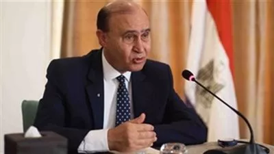 عبور 48 سفينة قناة السويس بحمولة 3,4 مليون طن.. اليوم