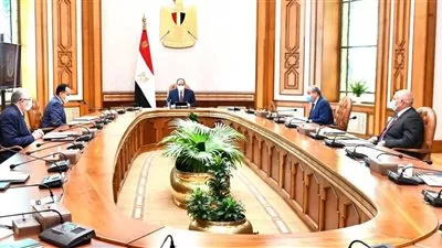 السيسى يوجه بالتوسع فى المشروعات الزراعية بالوادى الجديد