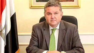 مصر توقف مفاوضات إنتاج السيارة الكهربائية مع الشركة الصينية