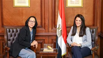 «المشاط» تبحث تعزيز التعاون مع مكتب الأمم المتحدة للحد من مخاطر الكوارث