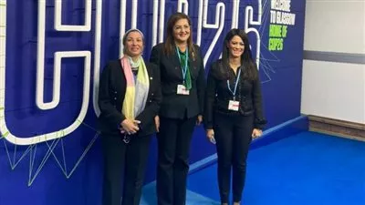 مصر تطرح مبادرة لوضع إطار دولي بشأن التمويل المبتكر للعمل المناخي