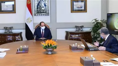 السيسى يوجه بتعزيز جهود تنفيذ مشروعات الربط الكهربائى مع دول الجوار