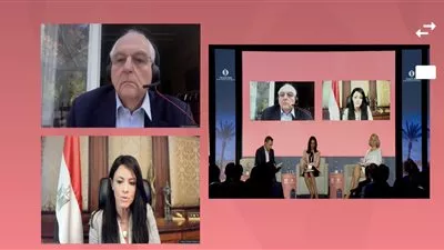 «المشاط» تؤكد أهمية دور بنوك التنمية فى دعم جهود التعامل مع الأزمات