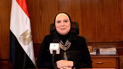 «التجارة»: الإفراج الفوري عن سيارات الركوب المتواجدة داخل الدائرة الجمركية