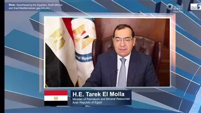 وزير البترول: أزمة «كورونا» أثبتت فاعلية وإستدامة الإصلاحات الاقتصادية