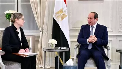 السيسي يؤكد دعم مصر لجهود تحقيق الاستقرار والبناء والتنمية في تونس